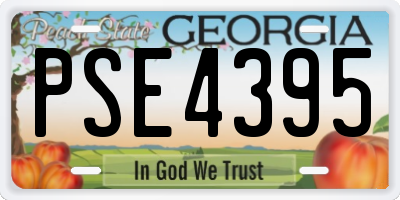 GA license plate PSE4395