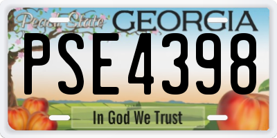 GA license plate PSE4398