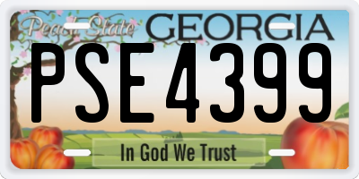 GA license plate PSE4399
