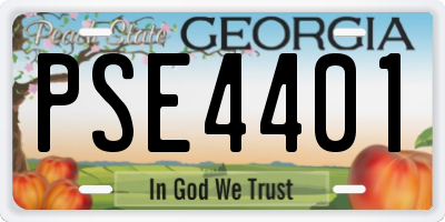 GA license plate PSE4401