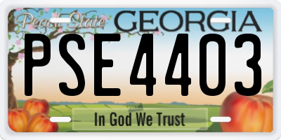 GA license plate PSE4403