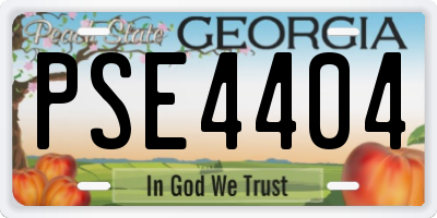 GA license plate PSE4404