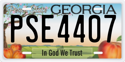 GA license plate PSE4407