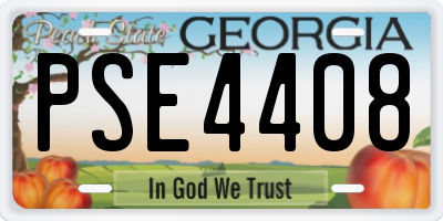 GA license plate PSE4408