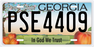 GA license plate PSE4409