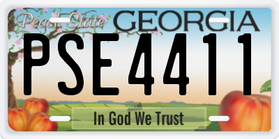 GA license plate PSE4411