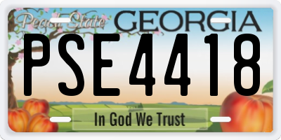 GA license plate PSE4418