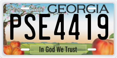 GA license plate PSE4419