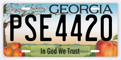 GA license plate PSE4420