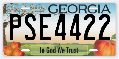 GA license plate PSE4422