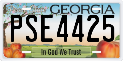 GA license plate PSE4425