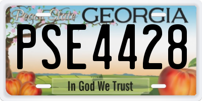 GA license plate PSE4428