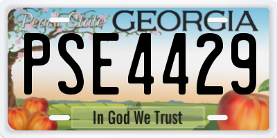 GA license plate PSE4429