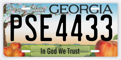 GA license plate PSE4433