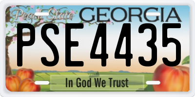 GA license plate PSE4435