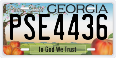 GA license plate PSE4436