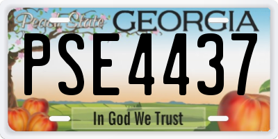 GA license plate PSE4437