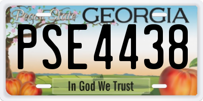 GA license plate PSE4438