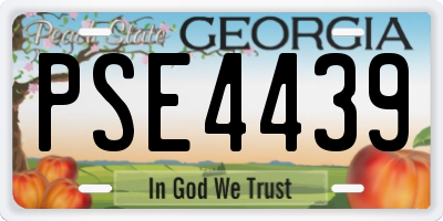 GA license plate PSE4439