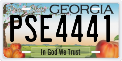 GA license plate PSE4441