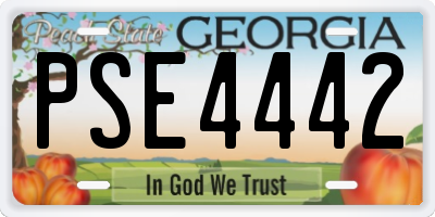 GA license plate PSE4442