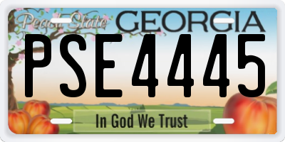 GA license plate PSE4445