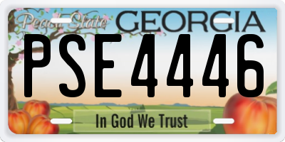 GA license plate PSE4446
