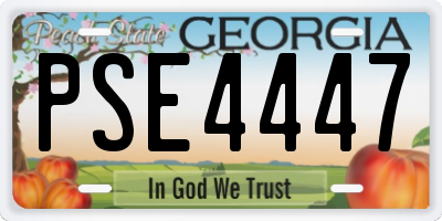 GA license plate PSE4447