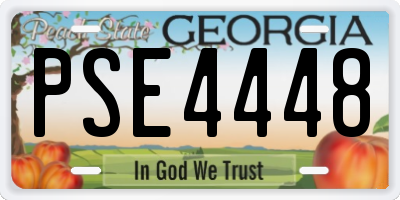 GA license plate PSE4448