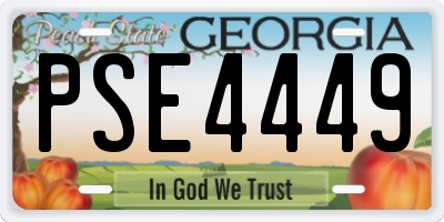 GA license plate PSE4449
