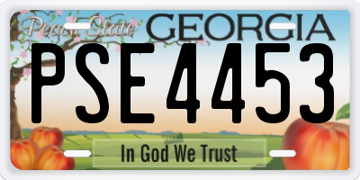 GA license plate PSE4453