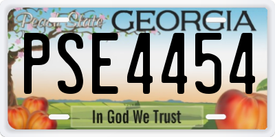 GA license plate PSE4454