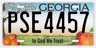 GA license plate PSE4457