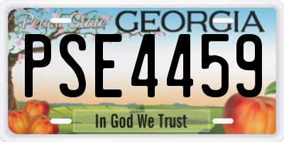 GA license plate PSE4459