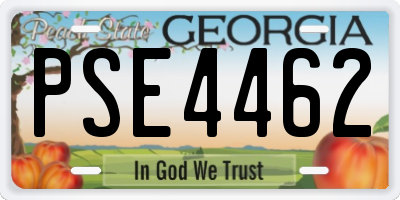 GA license plate PSE4462