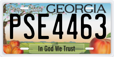 GA license plate PSE4463