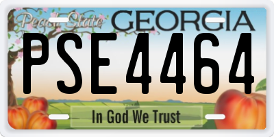 GA license plate PSE4464