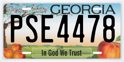 GA license plate PSE4478