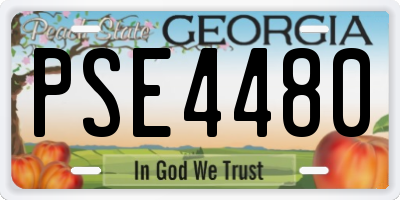 GA license plate PSE4480