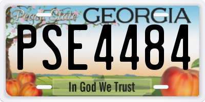 GA license plate PSE4484