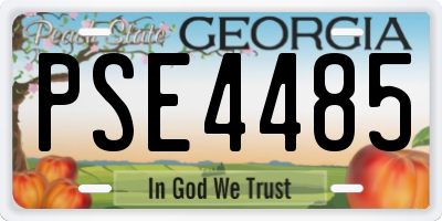 GA license plate PSE4485