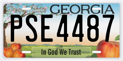 GA license plate PSE4487