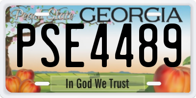 GA license plate PSE4489