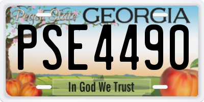 GA license plate PSE4490