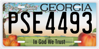GA license plate PSE4493