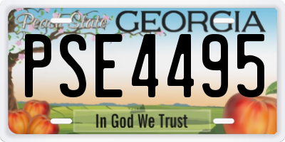 GA license plate PSE4495