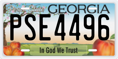 GA license plate PSE4496
