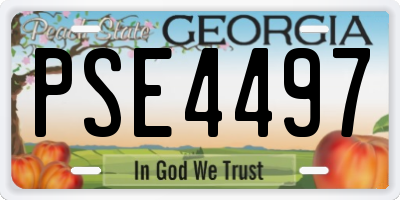 GA license plate PSE4497