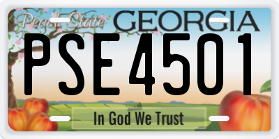 GA license plate PSE4501