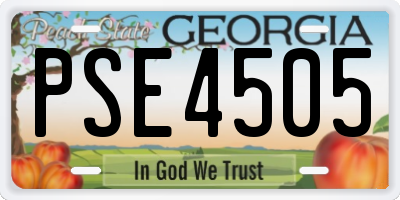 GA license plate PSE4505